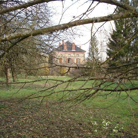 Appartamento La Belle D'Antan Saint-Bonnet-en-Bresse Esterno foto